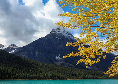 Waterfowl Lake Canada