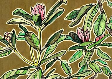 Azalea Flowers Sketch
