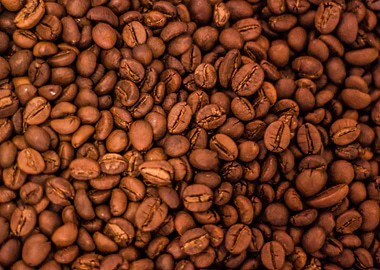 Coffee Bean Lot