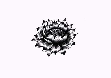 Black and White Flower
