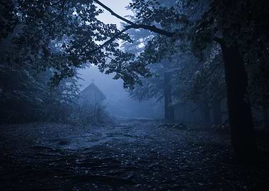 dark forest