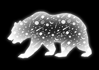 Cosmic Bear