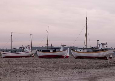 Fishing boats