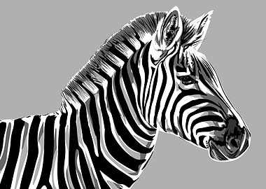 animal black and white