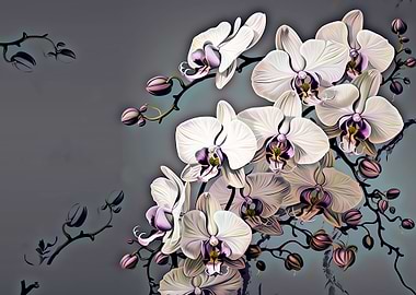 orchids