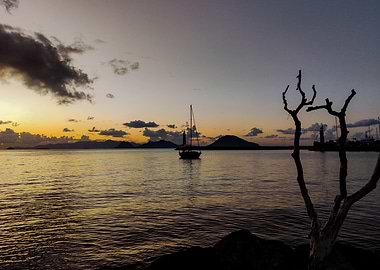 Boat Sailing Boats Ocean