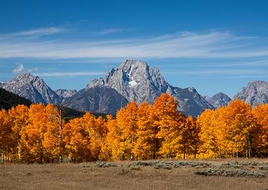 Grand Tetons Fall Foliage