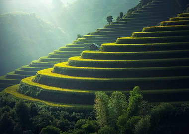 Vietnam Highlands