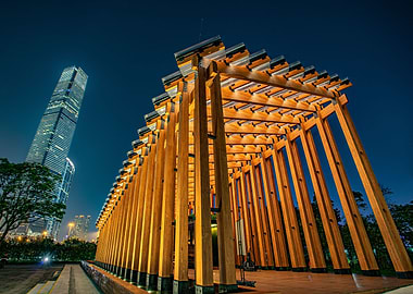 Hong Kong Night Sky 100