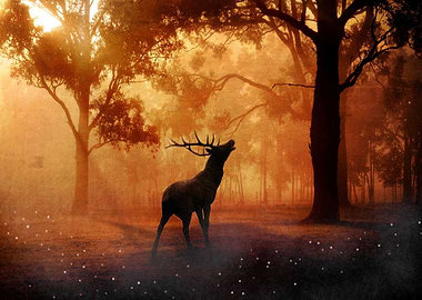 Wild Elk Wandering Forest