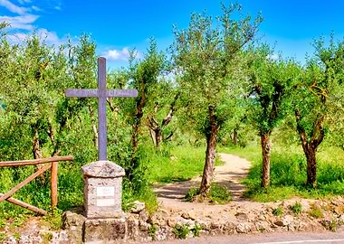 Via Francigena
