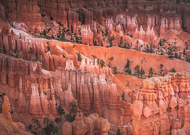 Bryce Canyon Hoodoos