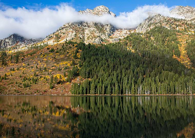String Lake Reflections
