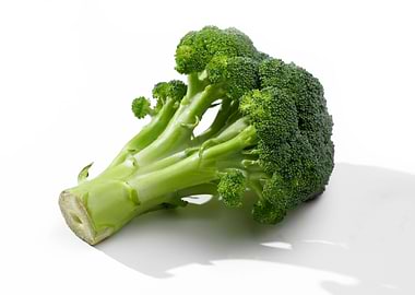 Broccoli Macro Photography