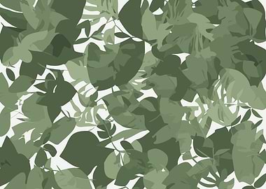 Enigmatic Cloud Forest LS