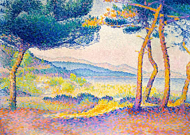 Pines Along the Shore