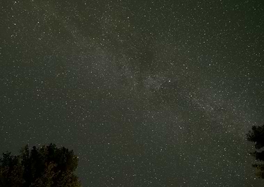 Milkyway above clearing
