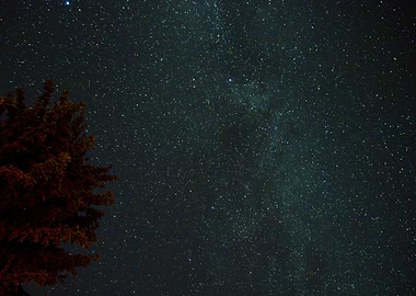 Stars above the campfire