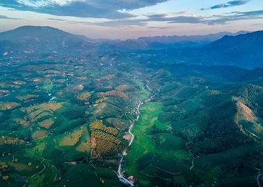 Aerial view of tea hills