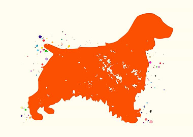 Welsh Springer Spaniel Dog