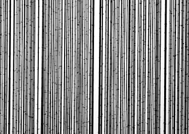 Striped Pattern Texture