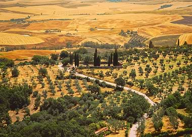 Small Enclosed Thicket