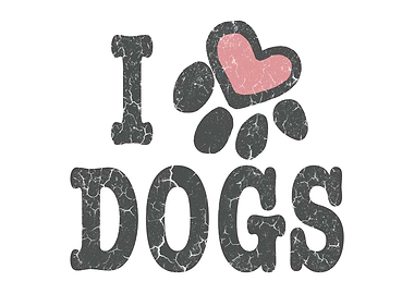 i love dog