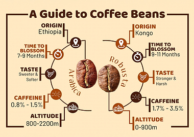 coffee guide cool