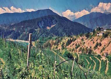 Apple orchards in the Alps