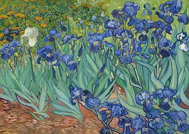 Vincent Van Gogh Art