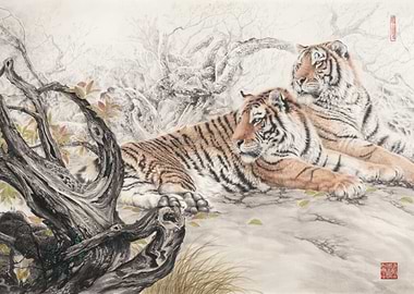 Japan Japanese Tiger