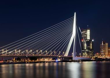 ROTTERDAM Erasmus bridge