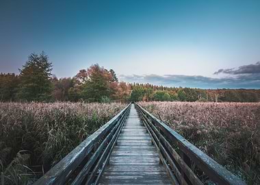Wooden Walkway