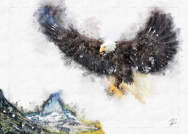 Flying Eagle