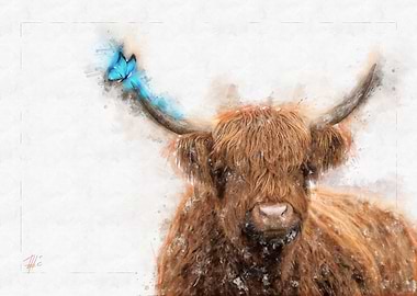 Highland Cattle and Butter