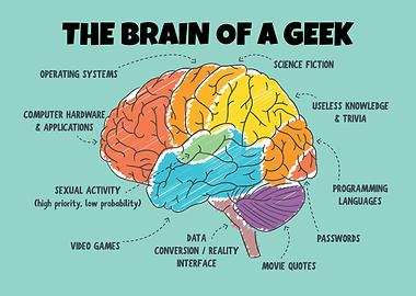 The Brain Of A Geek