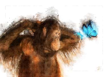 Orangutan and Butterfly