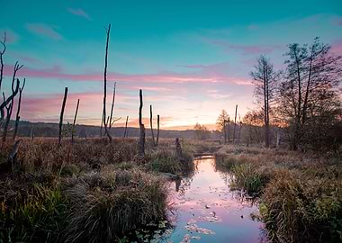 Moody Marsh Sunrise