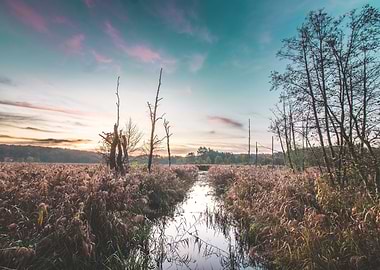 Moody Marsh Sunrise