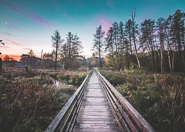 Moody Pathway Landscape