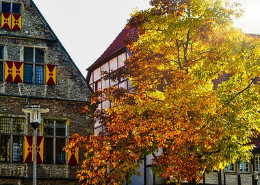 Autumn Splendor in Werne