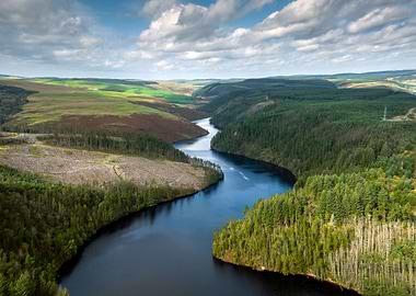 Forestry at Llyn Brianne