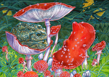 Toads on a Toadstool