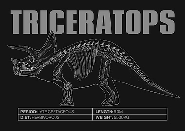 Triceratops Skeleton