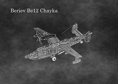 Beriev Be12 Chayka
