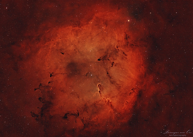 Elephants Trunk Nebula