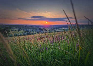 Summer sunset over valley