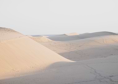 Follow me in the Desert 3