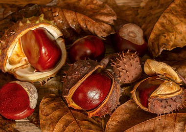 Chestnuts