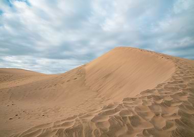 Follow me in the Desert 2